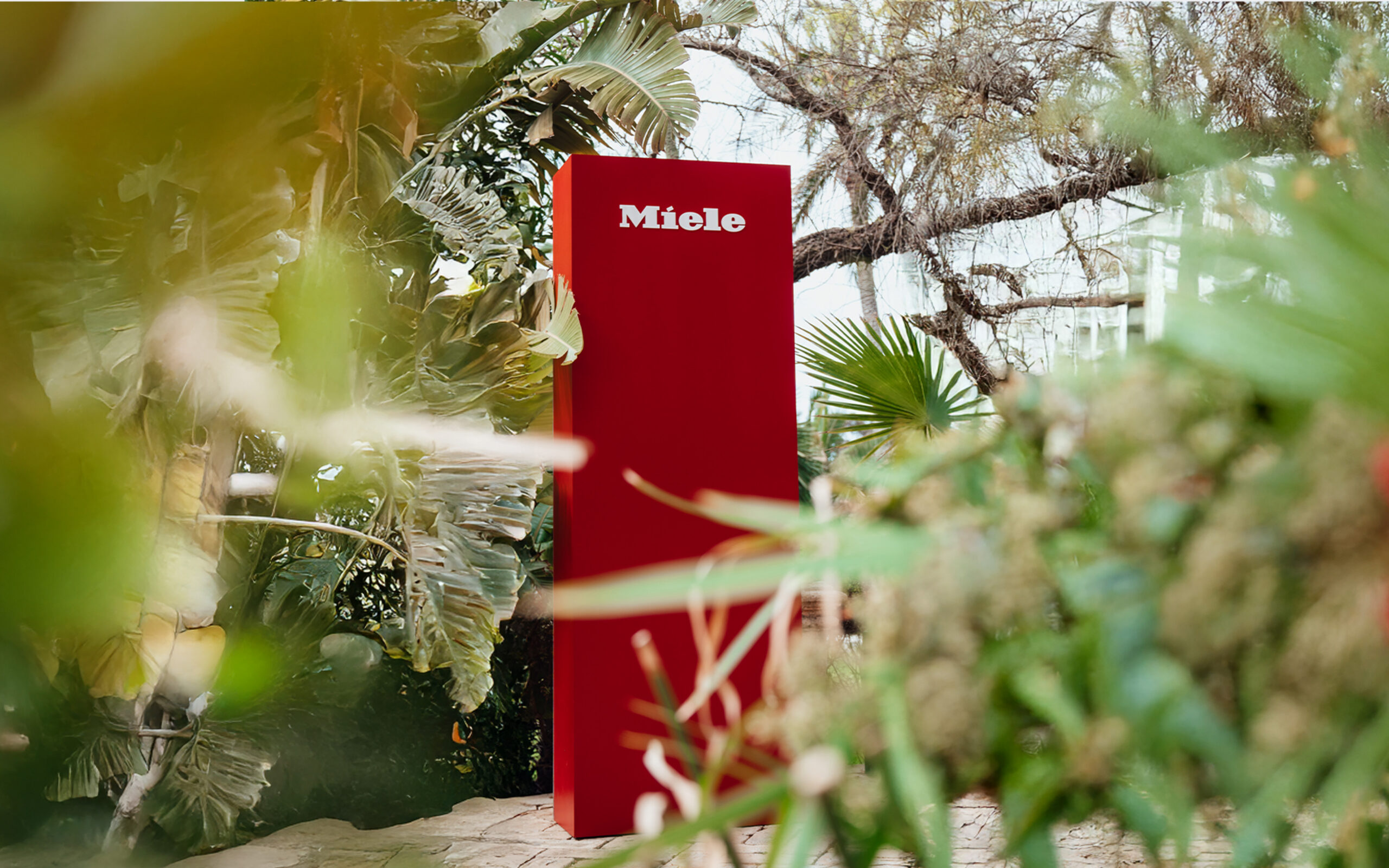 Miele Discover a New Species